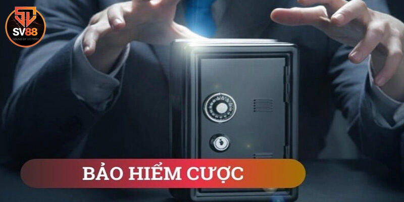 Tìm hiểu đôi nét về bảo hiểm cá cược