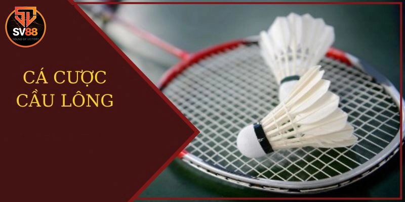 Hướng dẫn tham gia cá cược cầu lông tại Sv88