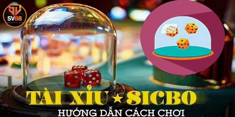Các cửa cược trong Sicbo