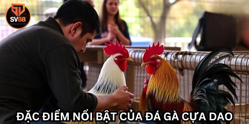 Đá gà 3 Những hình thức đá gà phổ biến nhất năm 2024