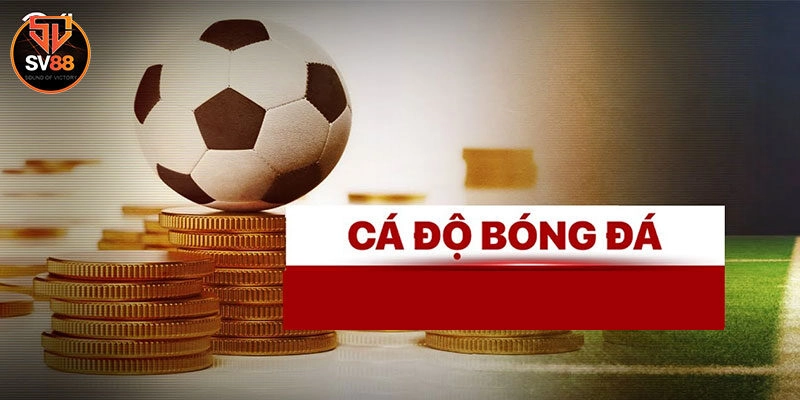 Cá Cược Bóng Đá Sv88 Là Gì? Một Số Loại Kèo Hay Xuất Hiện 2 Những loại kèo phổ biến khi cá cược bóng đá Sv88