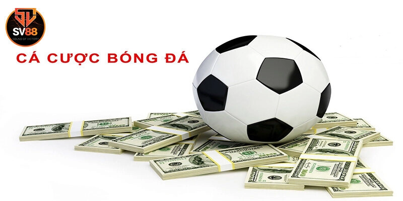 Cá Cược Bóng Đá Sv88 Là Gì? Một Số Loại Kèo Hay Xuất Hiện 3 Bí kíp chơi cá cược bóng đá dễ thắng từ cao thủ