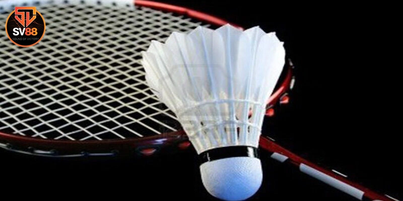 Cá Cược Cầu Lông - Hình Thức Săn Thưởng Cực Khủng Tại Sv88 8 Cá Cược Cầu Lông – Hình Thức Săn Thưởng Cực Khủng Tại Sv88