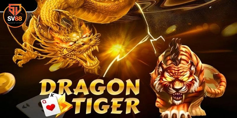 Rồng Hổ Sv88 - Game Đổi Thưởng Được Yêu Thích Hàng Đầu 2024 3 Cẩm nang chơi rồng hổ hiệu quả dành riêng cho người mới