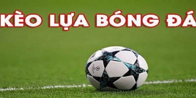 Cách lựa chọn kèo chi tiết dành cho hội viên