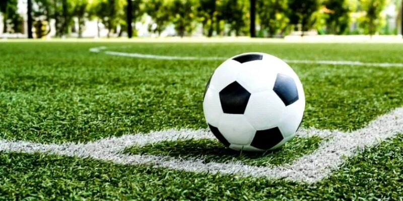 Kinh nghiệm thắng lớn hiệu quả từ cao thủ cá cược