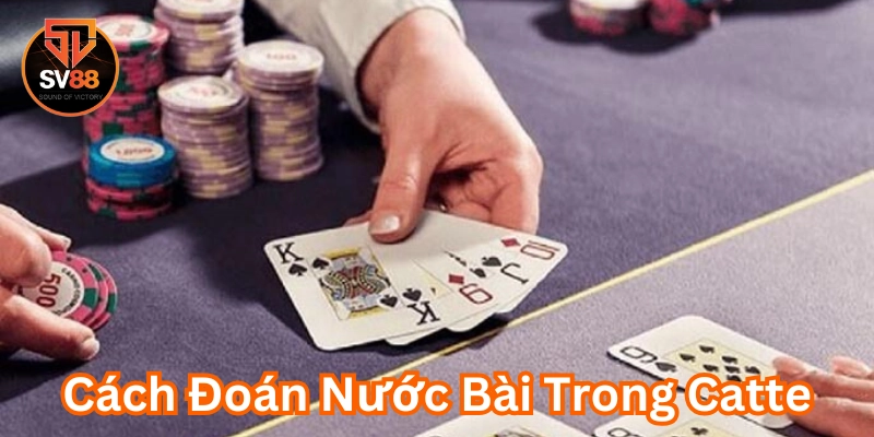 Cách Đoán Nước Bài Trong Catte - Bí Kíp Chinh Phục Mọi Ván 2 Cách Đoán Nước Bài Trong Catte cần lưu ý gì?