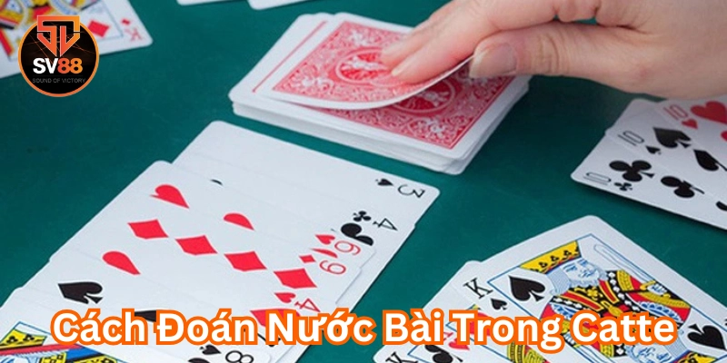 Cách Đoán Nước Bài Trong Catte - Bí Kíp Chinh Phục Mọi Ván 1 Cách Đoán Nước Bài Trong Catte là gì?