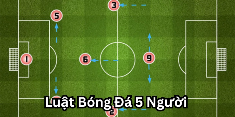 Luật Bóng Đá 5 Người - Và Những Thông Tin Mới Nhất Năm 2025 2 Luật Bóng Đá 5 Người có gì hấp dẫn