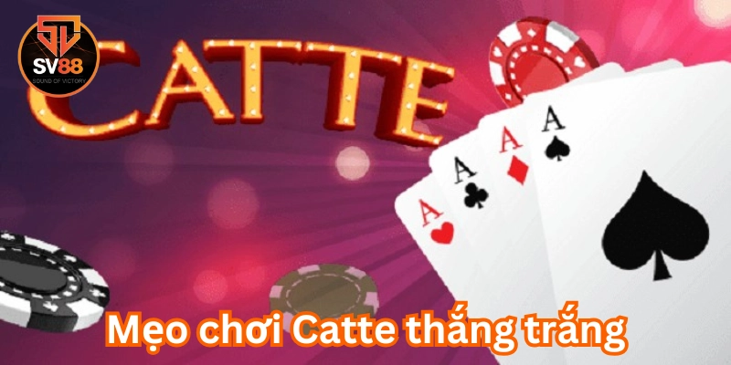 Mẹo Chơi Catte Thắng Trắng có gì đặc biệt
