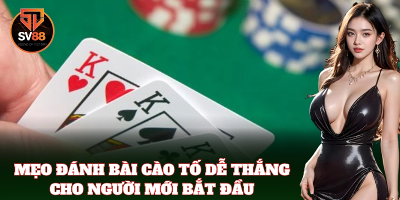 Mẹo đánh bài Cào Tố dễ thắng cho người mới bắt đầu