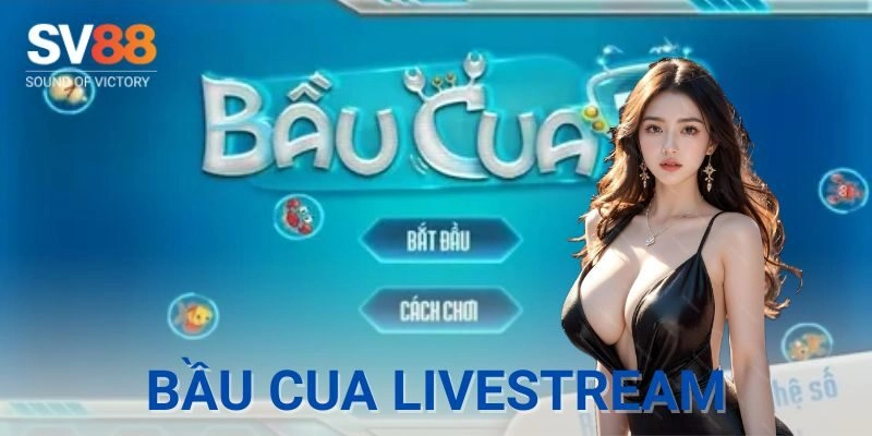 Bầu cua livestream cực cuốn, chơi một phát dính ngay cho bạn 7 Bầu cua livestream cực cuốn, chơi một phát dính ngay cho bạn