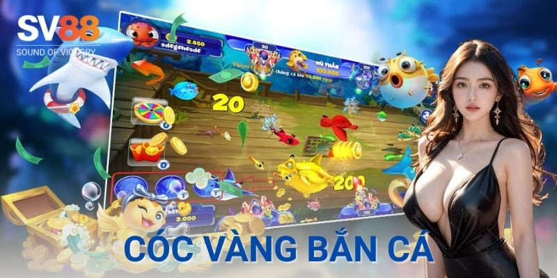 Cóc vàng bắn cá | Game săn tiền thưởng đỉnh cao 3 Cóc vàng bắn cá có đáng chơi không?