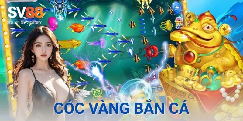 Cóc vàng bắn cá | Game săn tiền thưởng đỉnh cao 1 Cóc vàng bắn cá có gì khác biệt?