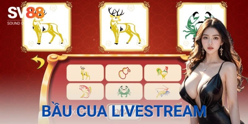 Trải nghiệm thực tế từ bầu cua livestream