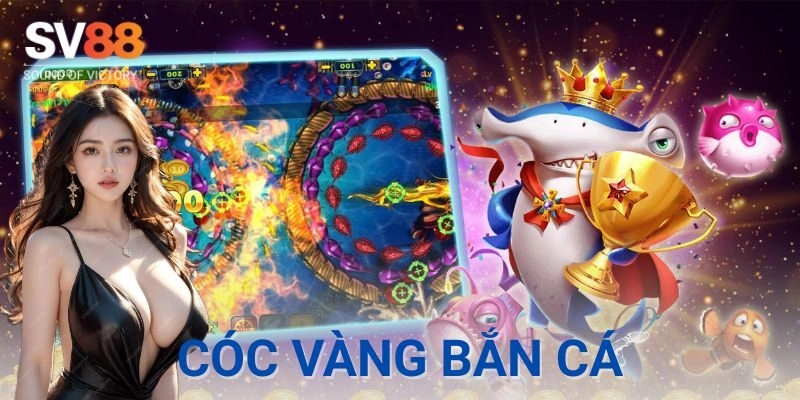 Cóc vàng bắn cá | Game săn tiền thưởng đỉnh cao 2 Ví dụ thực tế cách chơi cóc vàng bắn cá hiệu quả